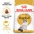 ROYAL CANIN® Ragdoll Adult 2kg